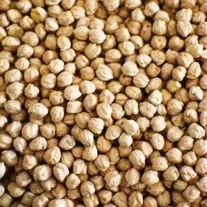 Bulk Chickpeas Available Now Enhance Your Dishes with Protein-Rich Nutritional Value
