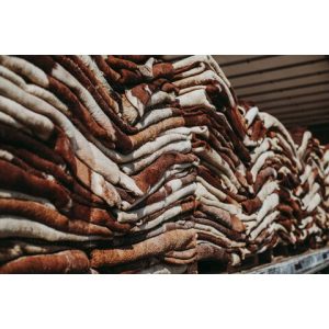 Wholesale Dealer Of Cheapest Price Dry And Wet Salted Cow Hides / Skins / Animal Cattle Hides
