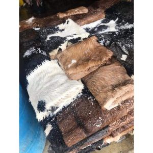 Quality Dry Donkey Hides, Wet Blue Cow hides and wet salted cow hides available .