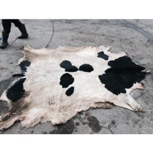 Wet Salted Donkey Hides and Cow Hides, cattle Hides