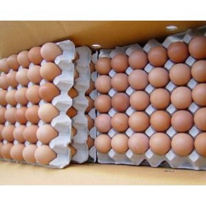 Fresh Brown Table Eggs Chicken Eggs / Fresh Chicken Table Eggs Brown and White