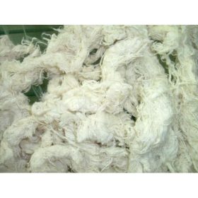 Cotton & Skin Products
